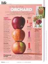 Better Homes & Gardens October 2021 Magazine Article: A trip to the ORCHARD