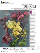 Better Homes & Gardens October 2021 Magazine Article: Groundcover SEDUM
