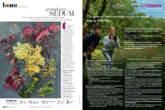 Better Homes & Gardens October 2021 Magazine Article: Page 56