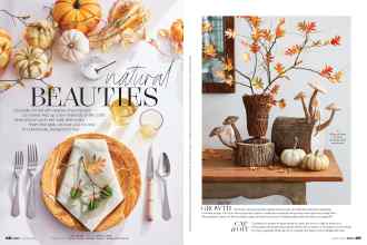 Better Homes & Gardens October 2021 Magazine Article: Natural BEAUTIES