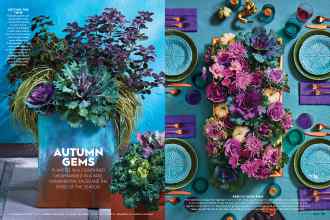 Better Homes & Gardens November 2021 Magazine Article: AUTUMN GEMS