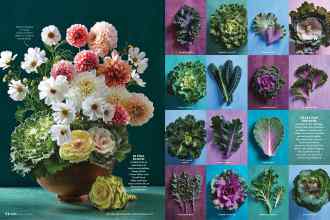 Better Homes & Gardens November 2021 Magazine Article: Page 74