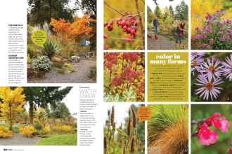Better Homes & Gardens November 2021 Magazine Article: Page 86