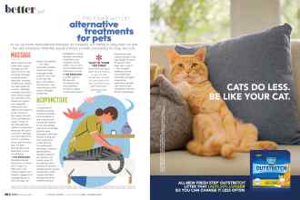 Better Homes & Gardens November 2021 Magazine Article: Page 104