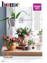 Better Homes & Gardens December 2021 Magazine Article: VIBRANT CACTI