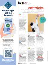 Better Homes & Gardens December 2021 Magazine Article: Cat tricks