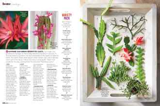 Better Homes & Gardens December 2021 Magazine Article: Page 50