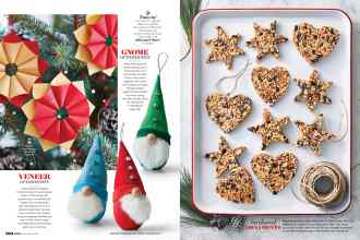 Better Homes & Gardens December 2021 Magazine Article: Page 160