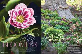 Better Homes & Gardens January/February 2022 Magazine Article: Early BLOOMERS