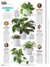 Better Homes & Gardens January/February 2022 Magazine Article: BEGINNERâ€™S LUCK