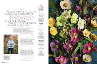 Better Homes & Gardens January/February 2022 Magazine Article: Page 70