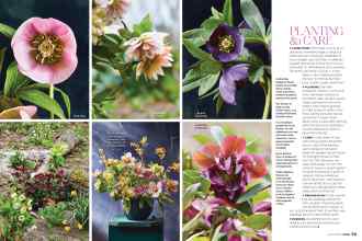 Better Homes & Gardens January/February 2022 Magazine Article: Page 72