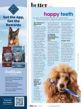 Better Homes & Gardens March 2022 Magazine Article: Happy teeth