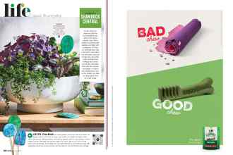 Better Homes & Gardens March 2022 Magazine Article: Page 8