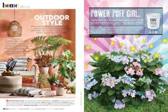 Better Homes & Gardens March 2022 Magazine Article: Page 48