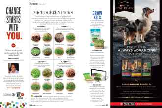 Better Homes & Gardens March 2022 Magazine Article: Page 56