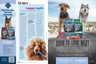 Better Homes & Gardens March 2022 Magazine Article: Page 106