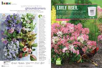 Better Homes & Gardens April 2022 Magazine Article: Page 58