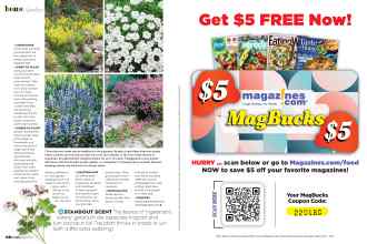 Better Homes & Gardens April 2022 Magazine Article: Page 60