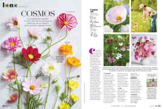 Better Homes & Gardens May 2022 Magazine Article: COSMOS