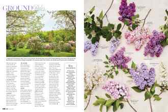 Better Homes & Gardens May 2022 Magazine Article: Page 68