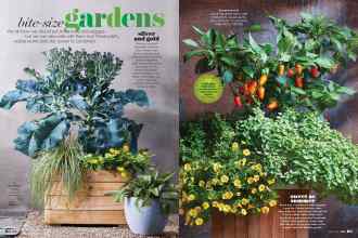 Better Homes & Gardens May 2022 Magazine Article: Bite-size gardens