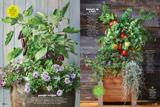 Better Homes & Gardens May 2022 Magazine Article: Page 86