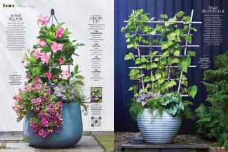 Better Homes & Gardens June 2022 Magazine Article: Page 44