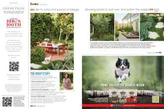 Better Homes & Gardens July/August 2022 Magazine Article: Page 62