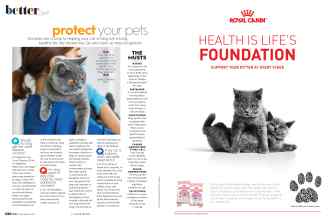 Better Homes & Gardens July/August 2022 Magazine Article: Page 132