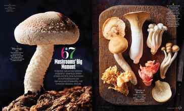 Better Homes & Gardens September 2022 Magazine Article: 67 Mushrooms' Big Moment