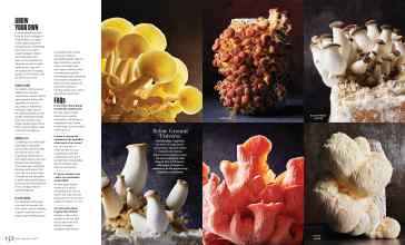 Better Homes & Gardens September 2022 Magazine Article: Page 142