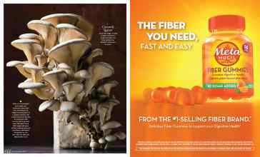 Better Homes & Gardens September 2022 Magazine Article: Page 144