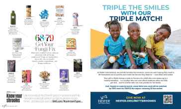 Better Homes & Gardens September 2022 Magazine Article: Page 146