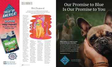 Better Homes & Gardens November 2022 Magazine Article: Page 32