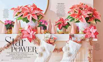 Better Homes & Gardens December 2022 Magazine Article: Star POWER