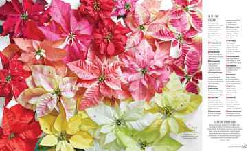 Better Homes & Gardens December 2022 Magazine Article: Page 94