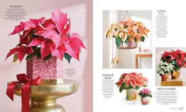 Better Homes & Gardens December 2022 Magazine Article: Page 96