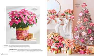 Better Homes & Gardens December 2022 Magazine Article: Page 98