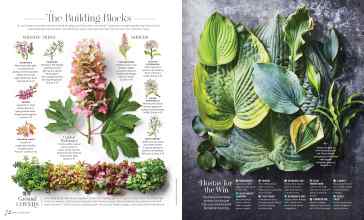 Better Homes & Gardens January/February 2023 Magazine Article: Page 72
