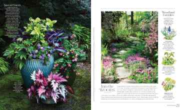 Better Homes & Gardens January/February 2023 Magazine Article: Page 74