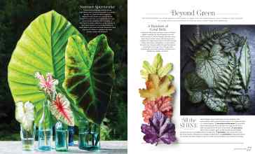 Better Homes & Gardens January/February 2023 Magazine Article: Page 76