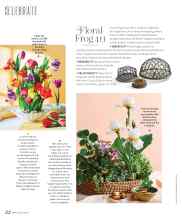 Better Homes & Gardens March 2023 Magazine Article: Floral Frog 411