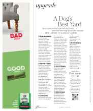Better Homes & Gardens April 2023 Magazine Article: A Dog's Best Yard