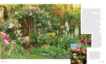Better Homes & Gardens April 2023 Magazine Article: Page 66