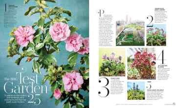 Better Homes & Gardens April 2023 Magazine Article: The BHG Test Garden 25