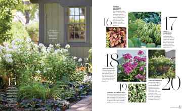 Better Homes & Gardens April 2023 Magazine Article: Page 84