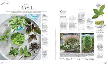 Better Homes & Gardens July/August 2023 Magazine Article: BASIL