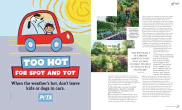 Better Homes & Gardens September 2023 Magazine Article: Page 50
