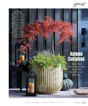 Better Homes & Gardens October 2023 Magazine Article: Autumn Contained